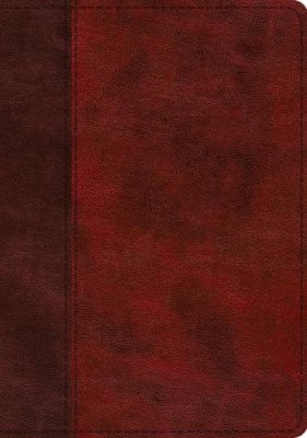 ESV Study Bible, TruTone, Burgundy/Red, Timeless Design (Imitation Leather)