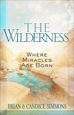 The Wilderness (Paperback)