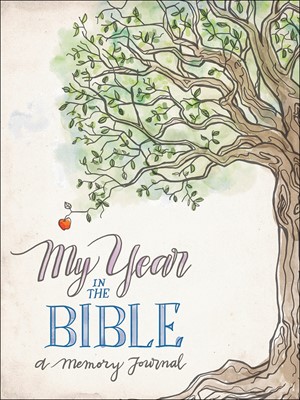 My Year In The Bible (Paperback)