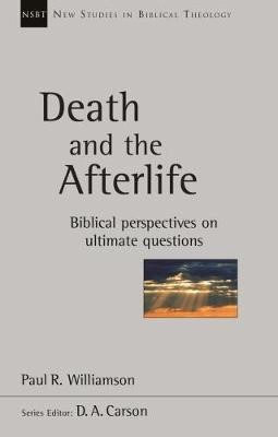 Death And The Afterlife (Paperback)