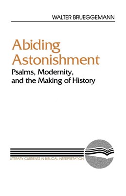 Abiding Astonishment (Paperback)