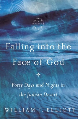 Falling into the Face of God (Hard Cover)