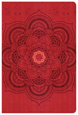 CSB Essential Teen Study Bible, Red Flower Cork Leathertouch (Imitation Leather)