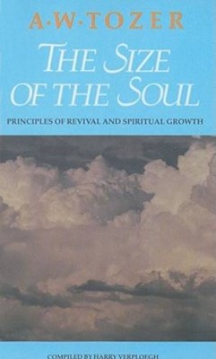 The Size Of The Soul (Paperback)