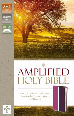 Amplified Holy Bible, Dark Orchid/Deep Plum (Leather-Look)