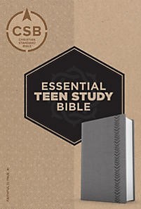 CSB Essential Teen Study Bible, Personal Size, Gray (Imitation Leather)