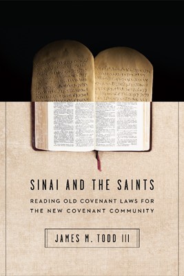 Sinai And The Saints (Paperback)
