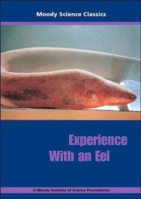 Experience With An Eel (DVD)