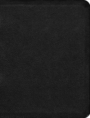 The Message Large Print (Leather Binding)