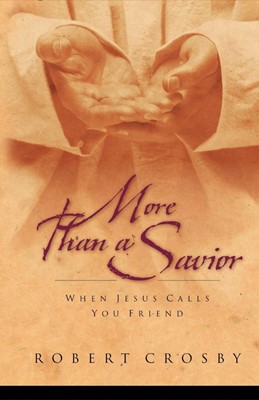 More Than A Savior (Paperback)