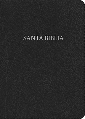 NVI Biblia Letra Grande Tamaño Manual, negro piel fabricada (Bonded Leather)