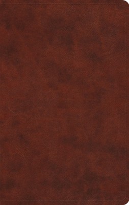 ESV Large Print Value Thinline Bible, Trutone, Chestnut (Imitation Leather)