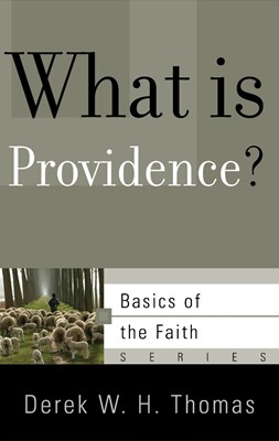 What is Providence? (Paperback)