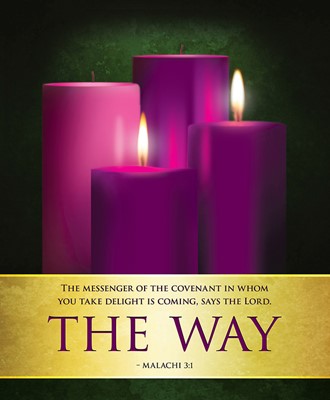 The Way Advent Candles Sunday 2 Bulletin, Large (Pkg of 50) (Bulletin)