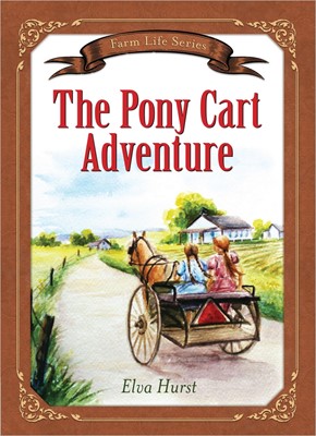The Pony Cart Adventure (Paperback)