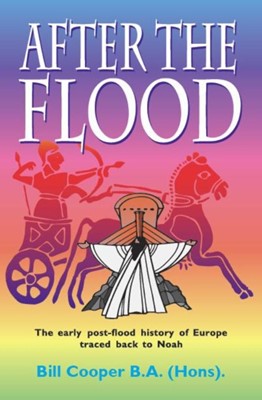 After The Flood (Paperback)