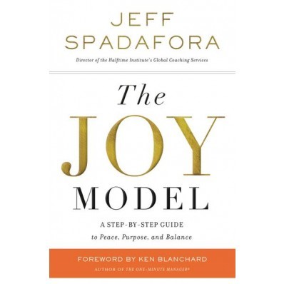 The Joy Model (Paperback)