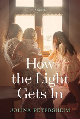 How the Light Gets In (Paperback)