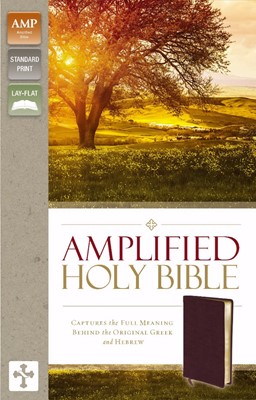 Amplified Holy Bible, Burgundy (Bonded Leather)