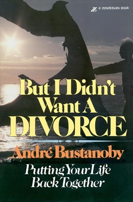 But I Didn't Want A Divorce (Paperback)