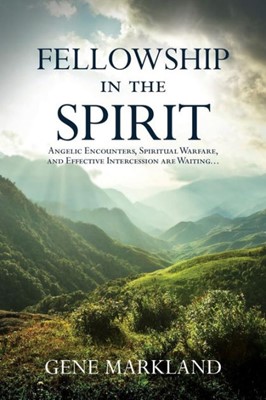 Fellowship In The Spirit (Paperback)