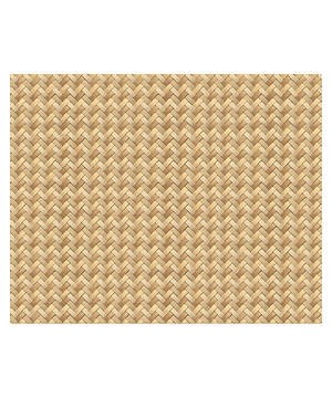 VBS Woven Reed Plastic Backdrop (Other Merchandise)