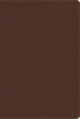 RVR 1960 Biblia de Estudio Arco Iris, chocolate símil piel (Imitation Leather)