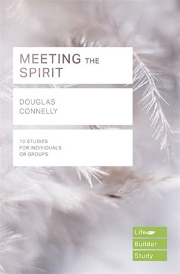 LifeBuilder: Meeting The Spirit (Paperback)