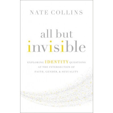 All But Invisible (Paperback)