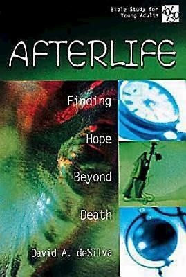 20/30 Series: Afterlife (Paperback)