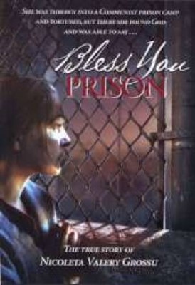 Bless You Prison DVD (DVD Video)