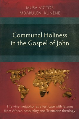 Communal Holiness in the Gospel of John (Paperback)