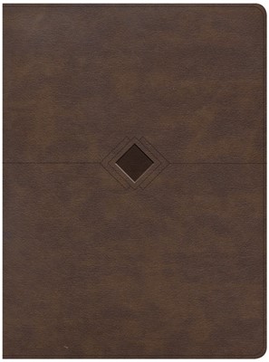 CSB Day-by-Day Chronological Bible, Brown Leathertouch (Imitation Leather)