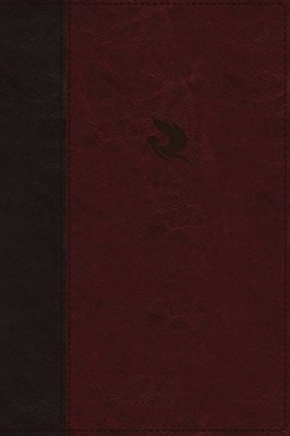 NKJV Spirit-Filled Life Bible, Burgundy, Indexed, Red Letter (Imitation Leather)