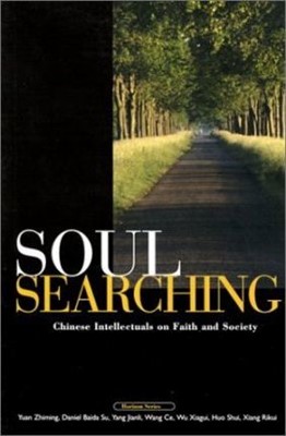 Soul Searching (Paperback)