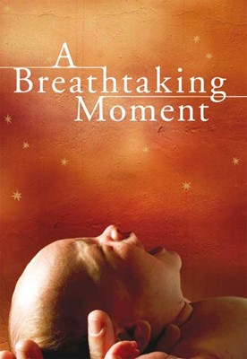 Breathtaking Moment, A (Paperback)