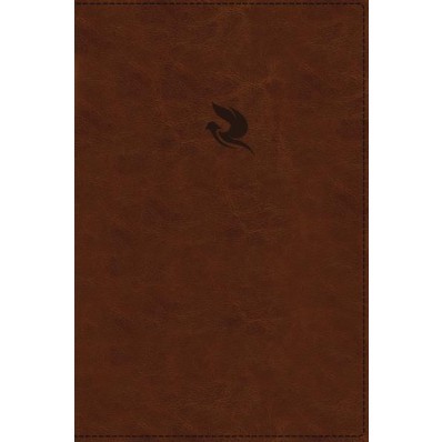 NKJV Spirit-Filled Life Bible, Brown, Indexed, Red Letter (Imitation Leather)