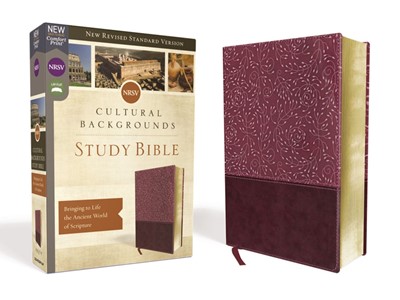 NRSV Cultural Backgrounds Study Bible, Burgundy (Imitation Leather)