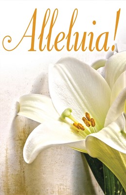 Alleluia! Easter Lilies Bulletin (Pkg of 50) (Loose-leaf)