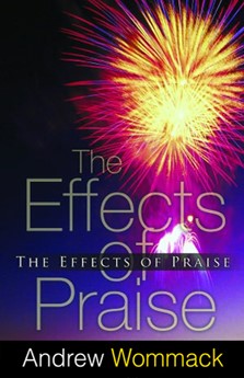 Effects Of Praise (Paperback)