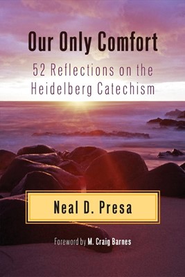 Our Only Comfort (Paperback)