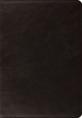 ESV Systematic Theology Study Bible (Leather Binding)