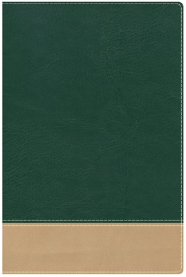 HCSB Teacher's Bible Green/Tan Leathertouch (Imitation Leather)
