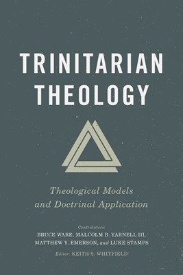 Trinitarian Theology (Paperback)