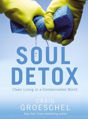 Soul Detox (Paperback)