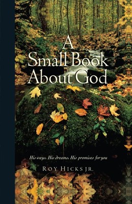 Small Book About God, A (Paperback)