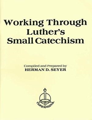 Working Through Luther's Small Catechism (Paperback)