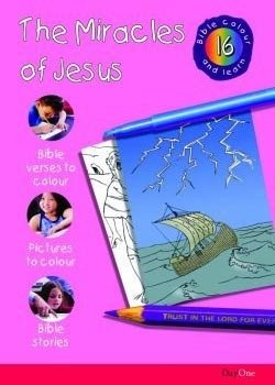 The Miracles of Jesus (Paperback)