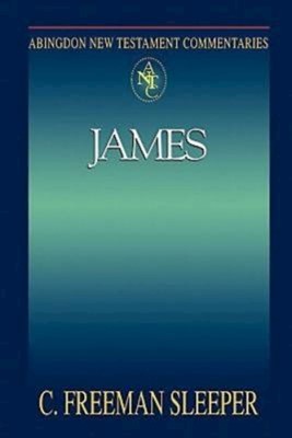 Abingdon New Testament Commentaries: James (Paperback)