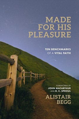 Made for His Pleasure (Paperback)